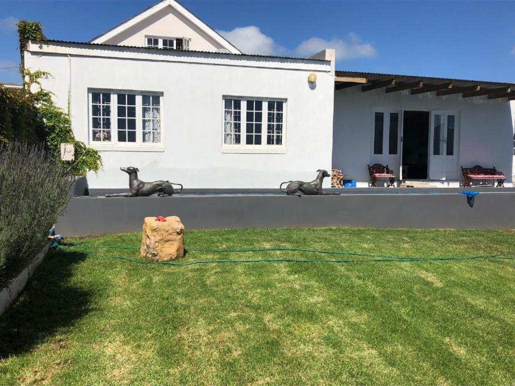 De La Fontaine Sea View Suite Plettenberg Bay Bagian luar foto